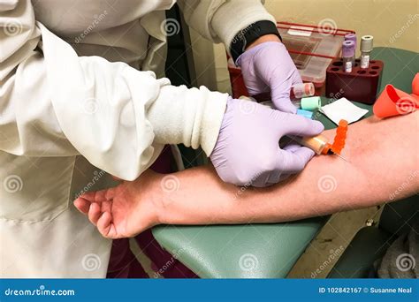 Should You Wear Gloves When Drawing Blood at Christine Mayer blog