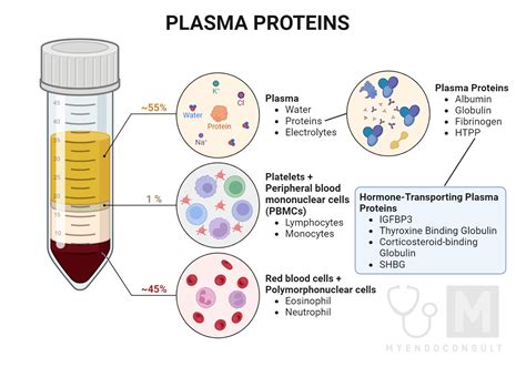 Plasma Volume And Shape