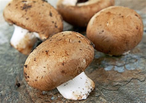 Baby Bella Mushrooms Health Benefits at George Redden blog