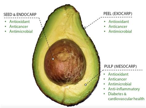 Longevity Lifestyle on Twitter: "Avocados are great for your gut. They ...