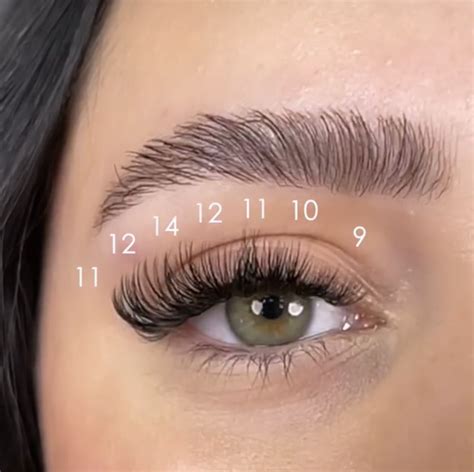 Lash Map - doll eye | Lashes fake eyelashes, Small lashes, Lashes