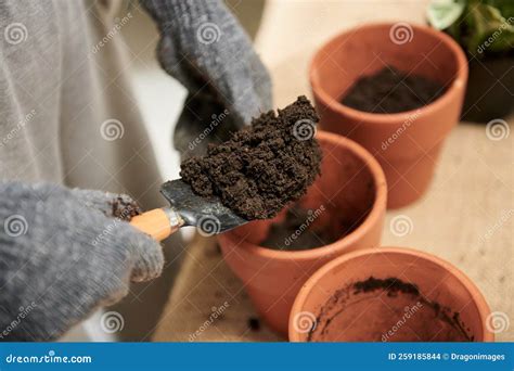 Gardener Putting Fertile Soil in Pots Stock Photo - Image of nature ...