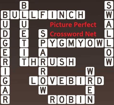 Small Birds - Picture Perfect Crossword