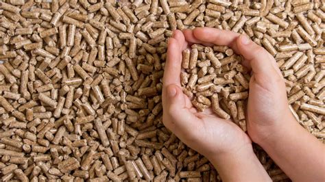 Benefits of using biomass energy - Vn-Industry