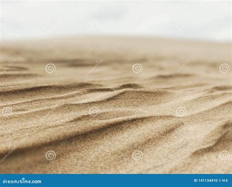 Sand Dunes of Pismo Beach, California Stock Photo - Image of running ...
