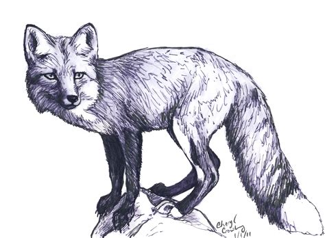 Animal Sketches, Animal Drawings, Pencil Drawings, Art Drawings, Wolf ...