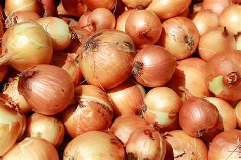 Here's How to Tell If an Onion Is Bad—Before You Start Cooking