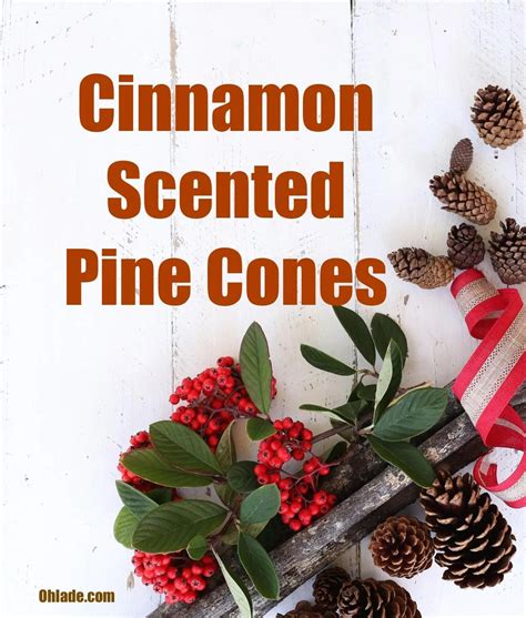How to Make Cinnamon Pine Cones That Will Give Your Home That Feel-Good ...