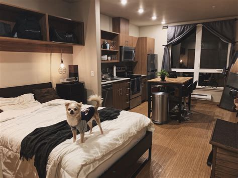 My studio apartment in Seattle : malelivingspace