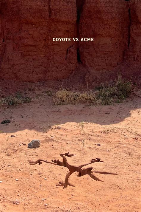 Coyote vs. Acme (2026) - Posters — The Movie Database (TMDB)