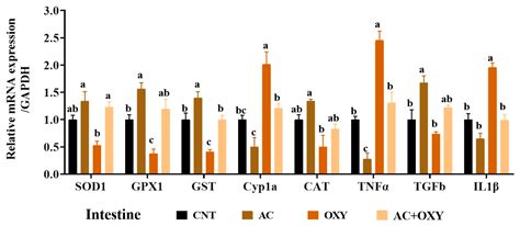 Growth Retardation, Oxidative Stress, Immunosuppression, and Inflammatory Disturbances Induced ...
