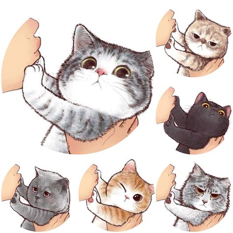 mamrizzio: When you try to kiss your Cat - is it dangerous to kiss your cat