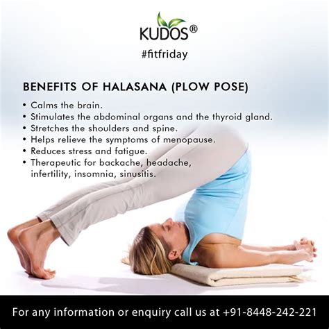 Halasana (Plow Pose) | Yoga facts, Easy yoga workouts, Yoga benefits