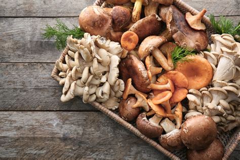 39 Different Types of Edible Mushrooms - Clean Green Simple