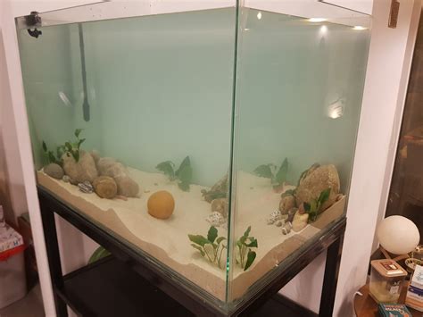Advice for a new 80 gallon? : r/Aquariums