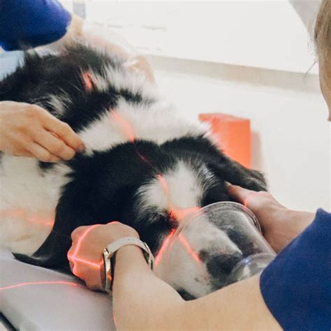 X-Ray Accessibility Options for the Disabled | Great Lakes Imaging