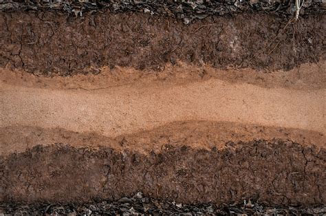 Soil Layers