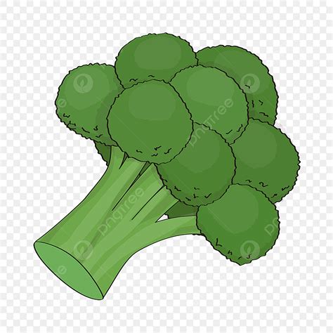 Broccoli Clip Art