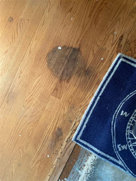 Hardwood floor water damage/staining : r/HomeImprovement
