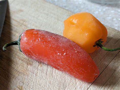 Freeze Peppers! - Sandia Seed Company