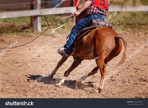 Cowgirl Riding Horse Whip Cracking Competition Stock Photo 1364748497 ...