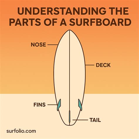 Understanding the Parts of a Surfboard - Surfolio