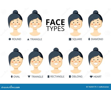 Female face shapes. stock vector. Illustration of brown - 76255175