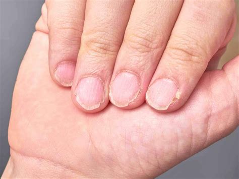 AMBIL SEKARANG