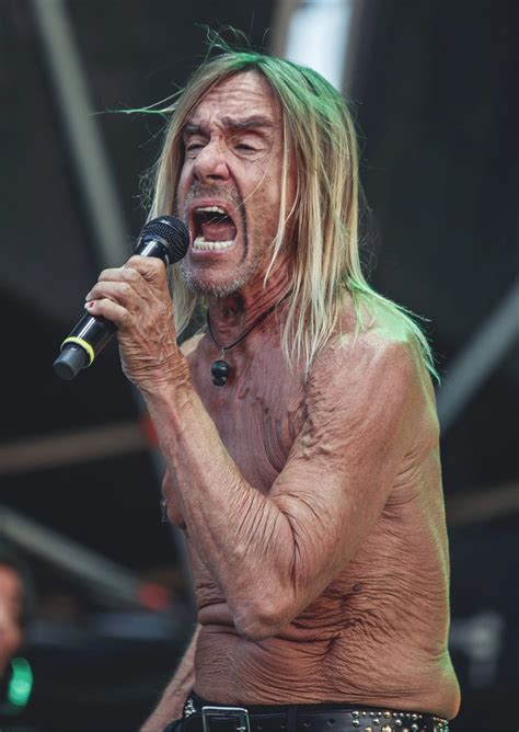 Iggy Pop