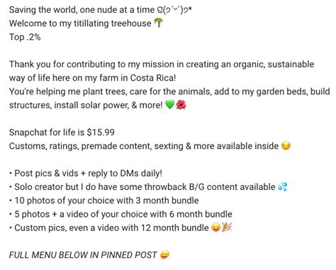 Onlyfans Bio Template