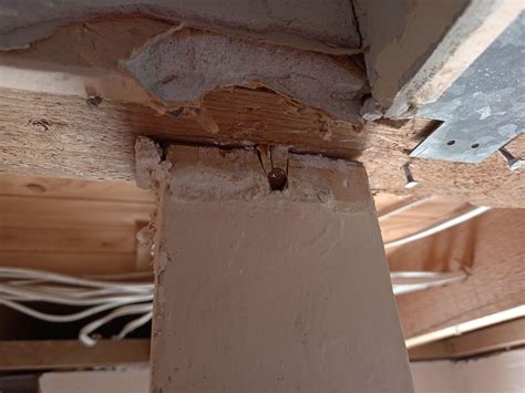 How To Find Out If A Post Is Load Bearing at Mackenzie Boehm blog
