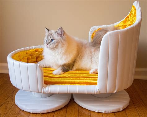 Cat Bed For Having Kittens at Jorge Dyer blog