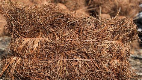 Pine Straw Mulch Calculator
