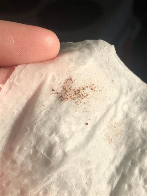 Tiny red/brown specks on windowsills? : r/whatsthisbug