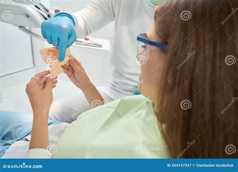 Dentist Explaining Anatomy of Malar Bone To Woman Stock Image - Image of maxilla, dentistry ...