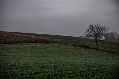 Indian.Big+Ass Photos, Download The BEST Free Indian.Big+Ass Stock Photos & HD Images