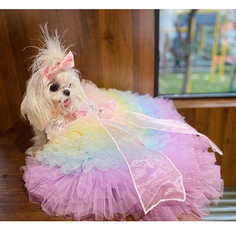 Rainbow Ombre Long Trail Dress, Dog Birthday Quinceanera Prom Gown, Cat ...