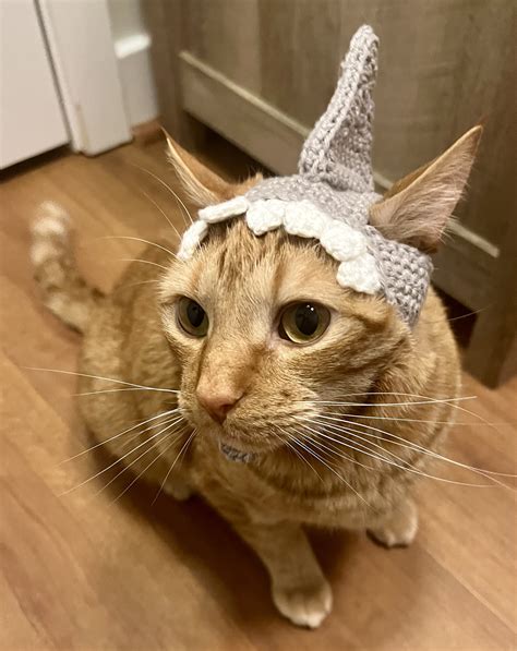 Shark Costumes For Cats