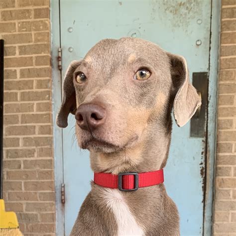 Simon - 15/10 Foundation