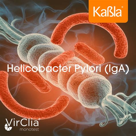 H. Pylori Iga