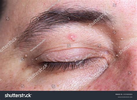 270 resultados de imágenes, fotos de stock e ilustraciones libres de ...