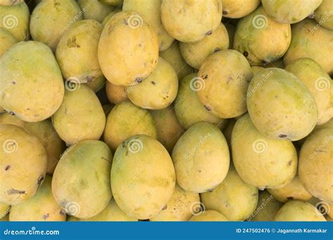 Mango Is The National Fruit Of India. This Fruit Is Very Testy. Many ...