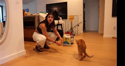 The best Sara Saffari feet pictures 🤩