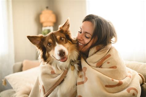 Best Way to Remove Pet Hair from Blankets | Easy Laundry Tips | Vamoosh