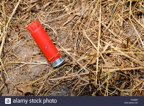 When Did Plastic Shotgun Shells Come Out at Patricia Flores blog