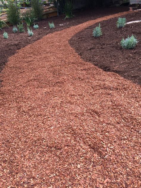 Sheet Mulch 101 : Fiddlehead Gardens