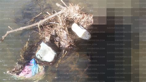 Abby Williams & Libby German - Delphi Indiana Case Documents & Photos