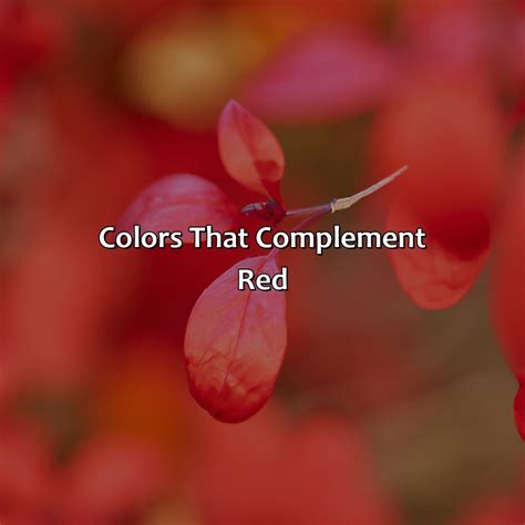 What Color Goes Well With Red - colorscombo.com