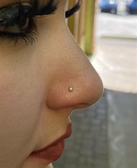 Nose Piercing Stud Keeps Sinking at Zane Stirling blog