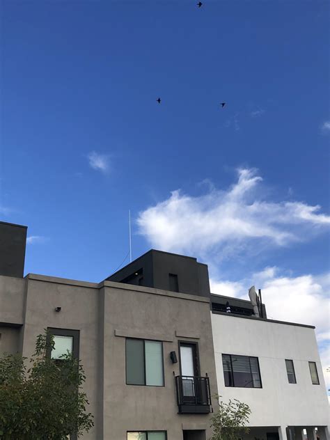 This guy fucks. : r/HeliumNetwork